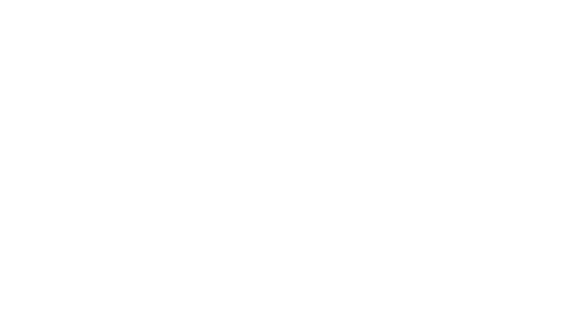 Pioneer Management Consulting